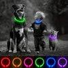 Collier Lumineux et Rechargeable pour Chien