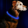 Collier Lumineux et Rechargeable pour Chien