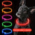 Collier Lumineux et Rechargeable pour Chien