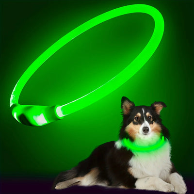 Collier Lumineux et Rechargeable pour Chien