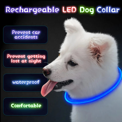 Collier Lumineux et Rechargeable pour Chien