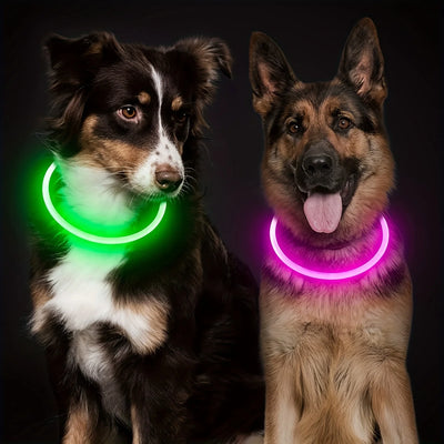 Collier Lumineux et Rechargeable pour Chien