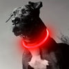 Collier Lumineux et Rechargeable pour Chien