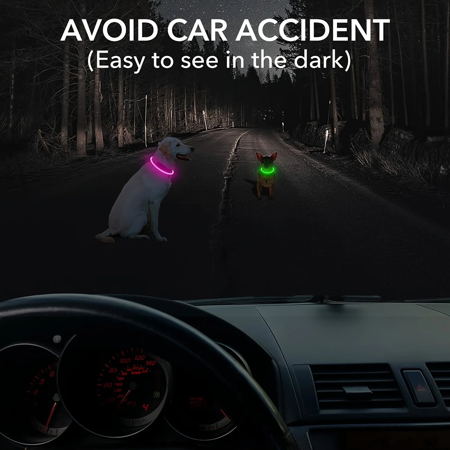 Collier Lumineux et Rechargeable pour Chien