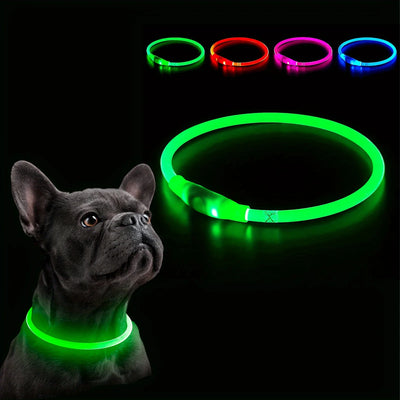 Collier Lumineux et Rechargeable pour Chien