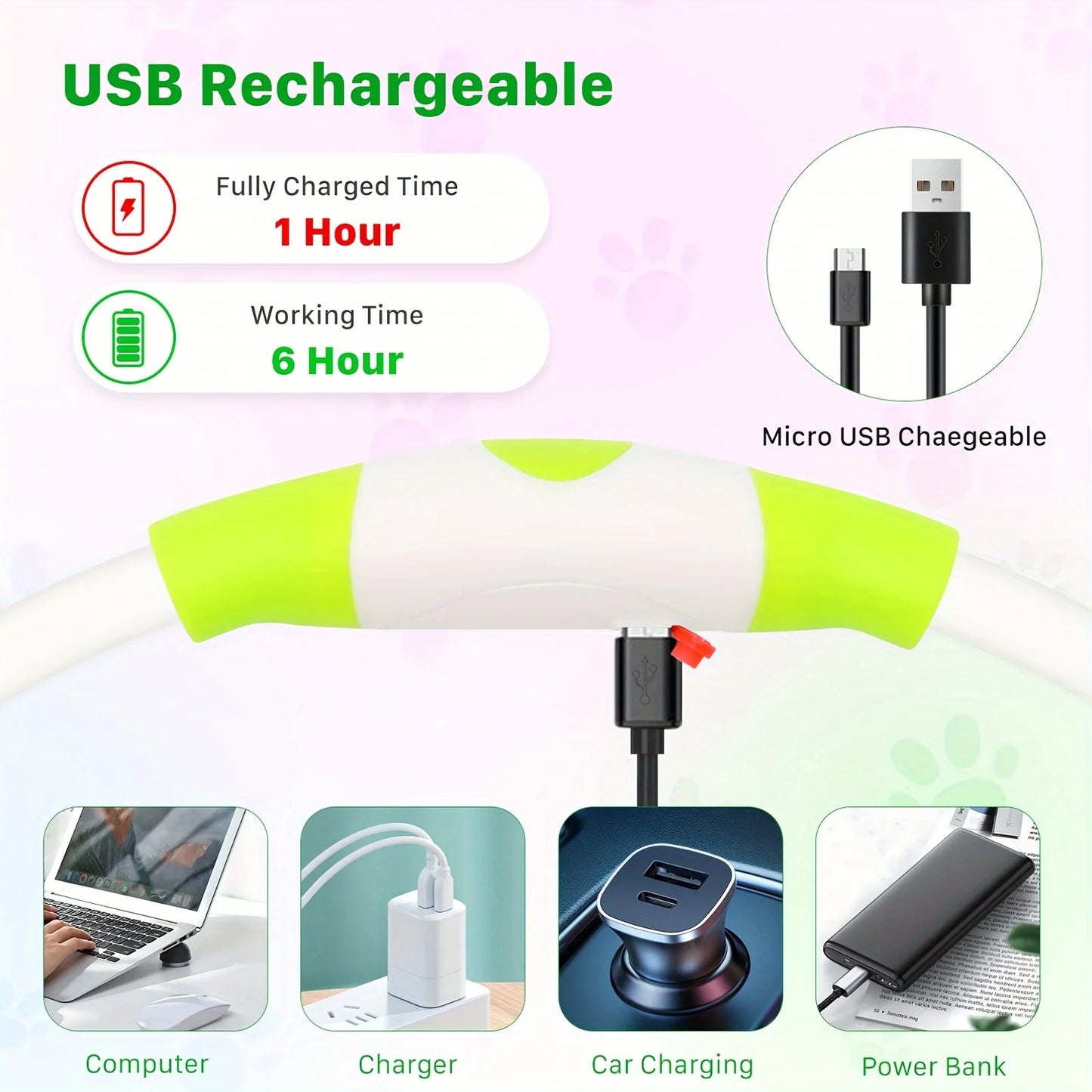 Collier Lumineux et Rechargeable pour Chien