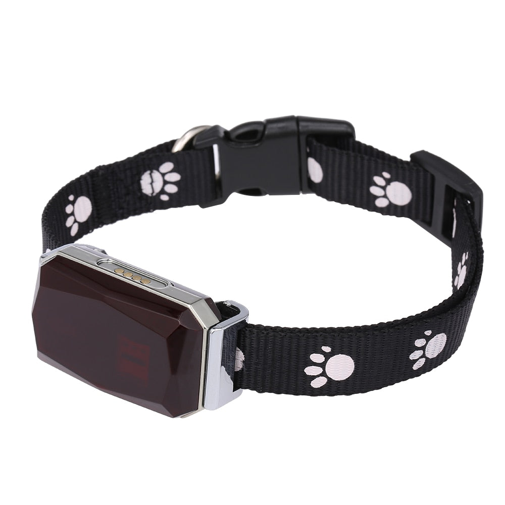 Collier GPS pour animaux de compagnie