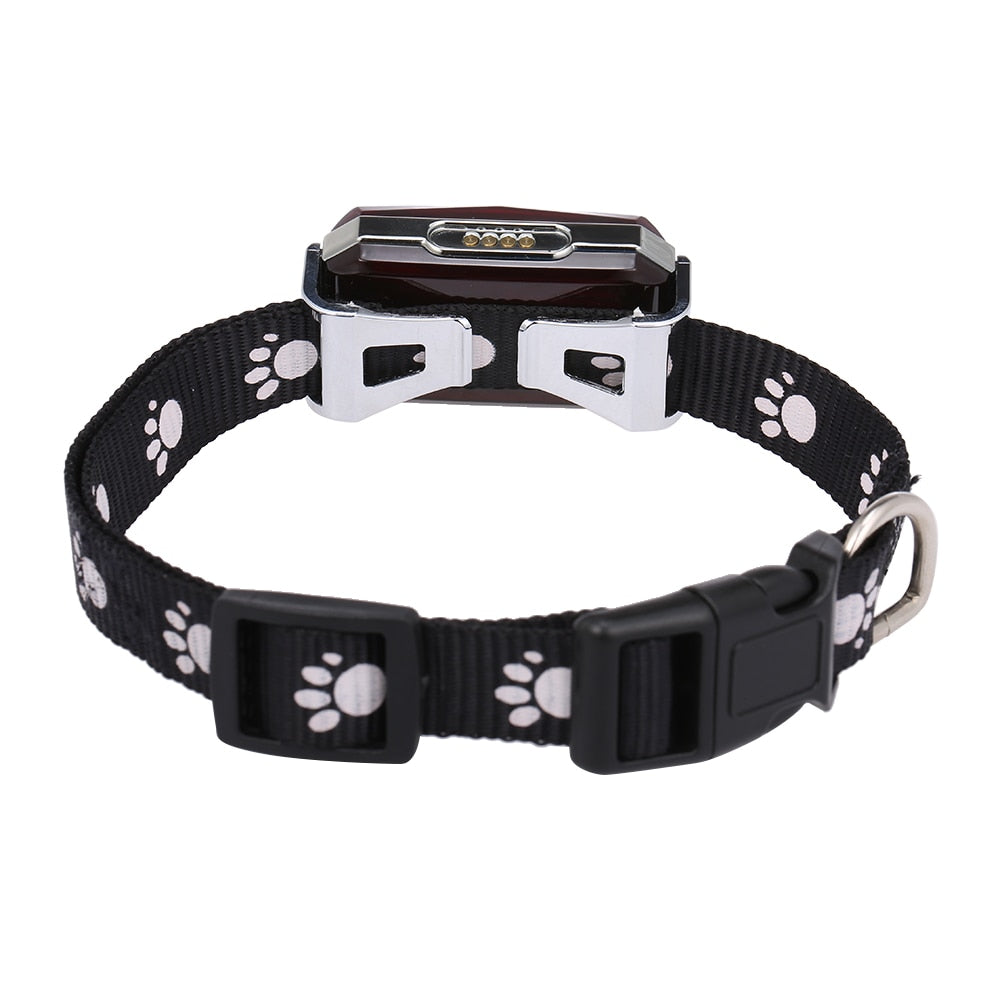 Collier GPS pour animaux de compagnie