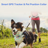 Collier GPS pour animaux de compagnie