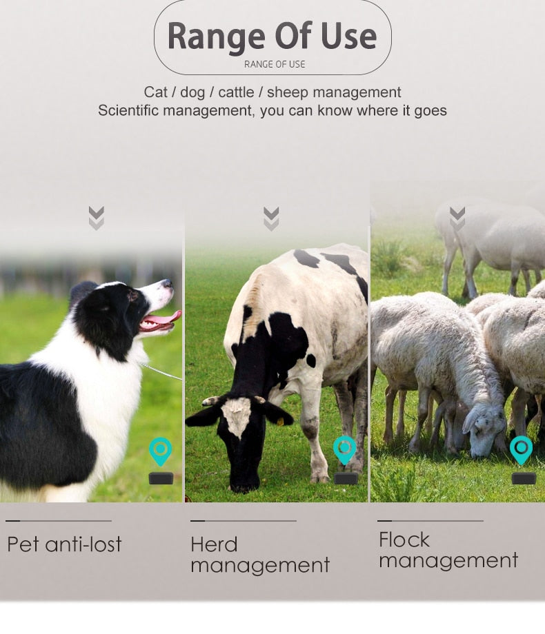 Collier gps pour chien