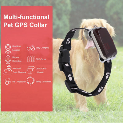 Collier GPS pour animaux de compagnie