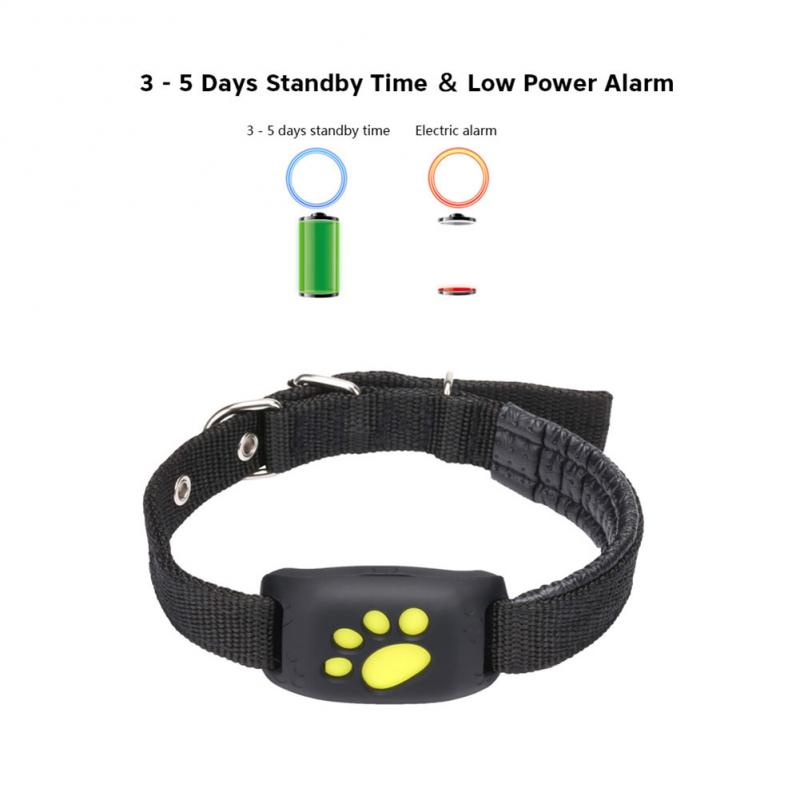 Collier pour chien et chat avec traqueur GPS