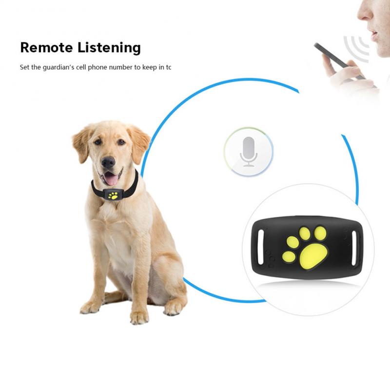 Collier pour chien et chat avec traqueur GPS