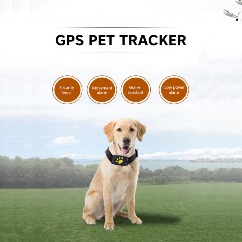 Collier pour chien et chat avec traqueur GPS