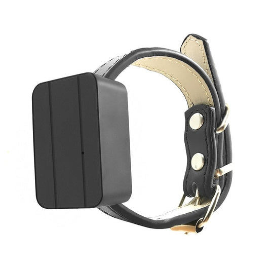 Collier gps pour chien